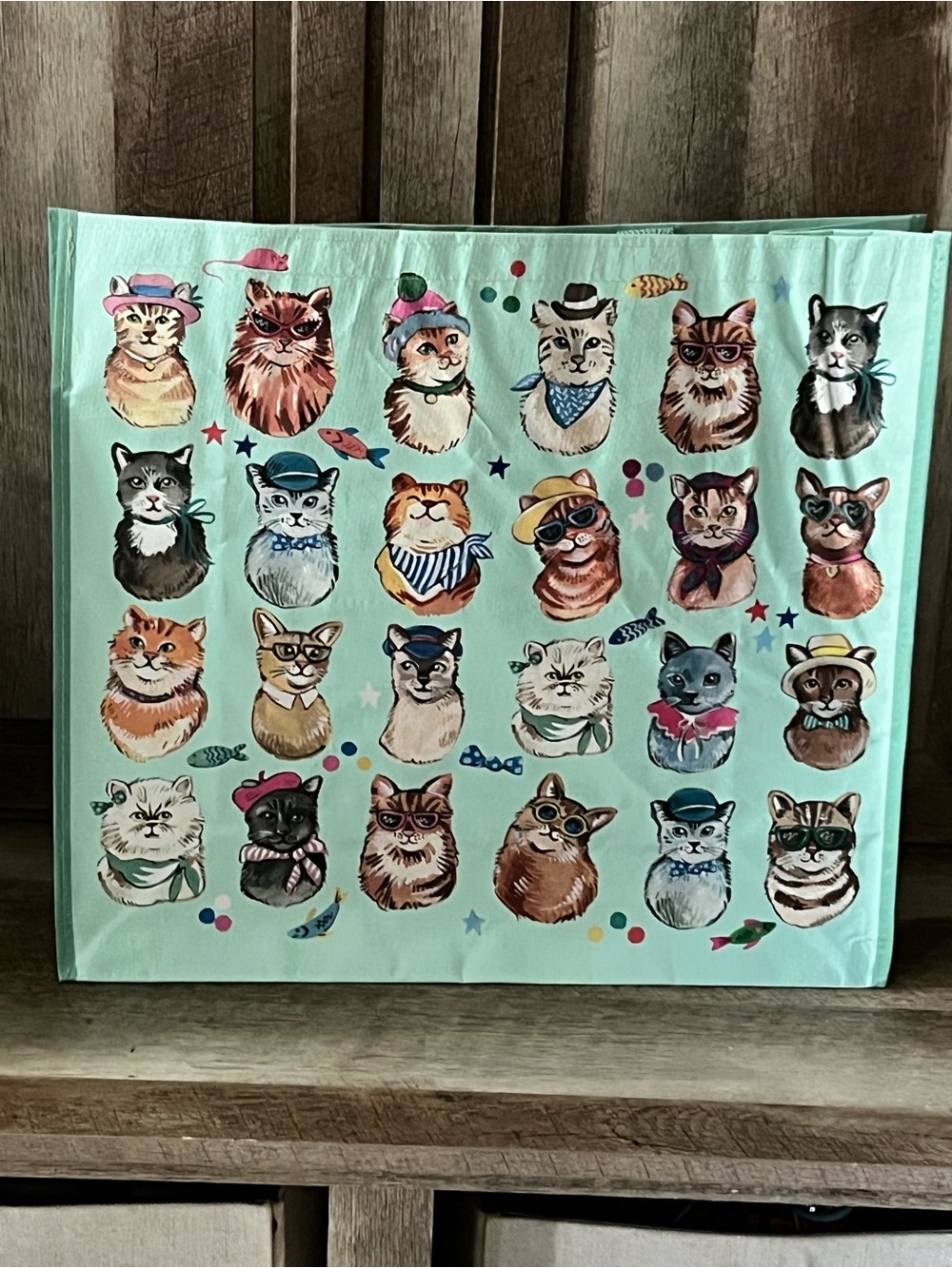 Cat Pattern Reusable Tote Bag - Mint